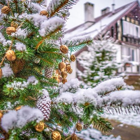 Usadba Belovezhskoye Pomestye Otel Kamenyuky Dış mekan fotoğraf
