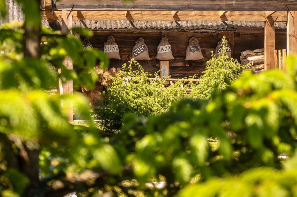 Usadba Belovezhskoye Pomestye Otel Kamenyuky Dış mekan fotoğraf